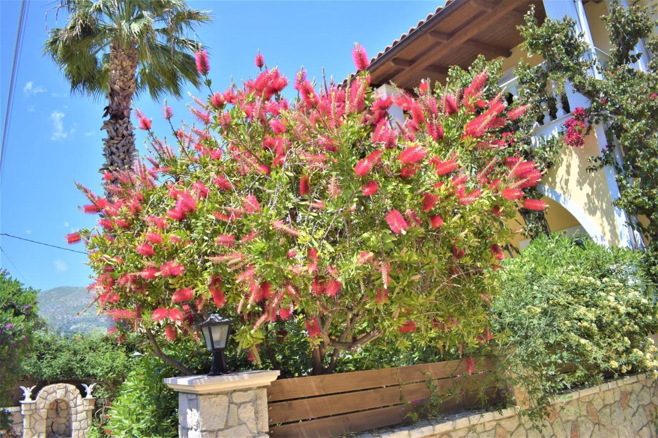 Villa Dionysios Keri エクステリア 写真