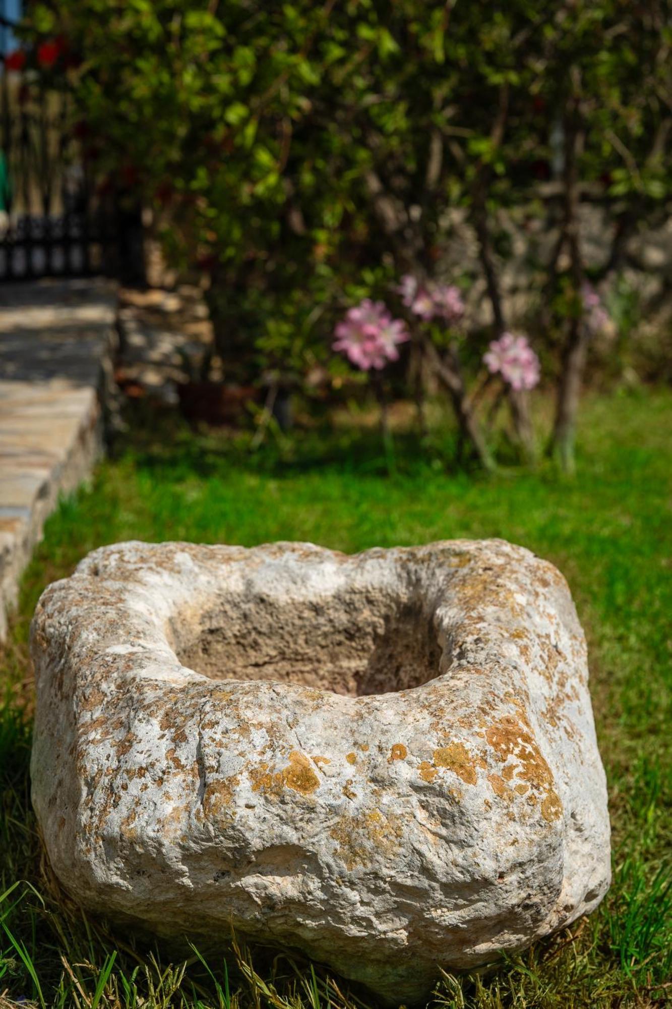 Villa Dionysios Keri エクステリア 写真