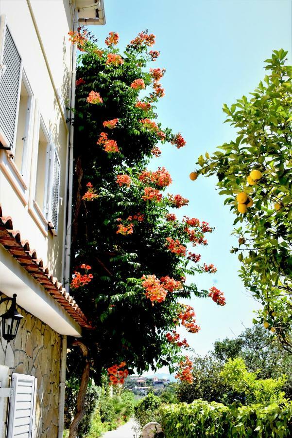 Villa Dionysios Keri エクステリア 写真